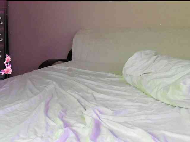 may-flower webcam