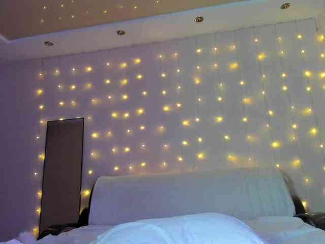 may-flower may-flower