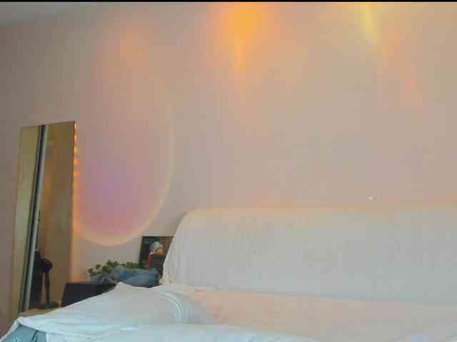 may-flower webcam