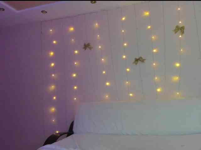 may-flower may-flower