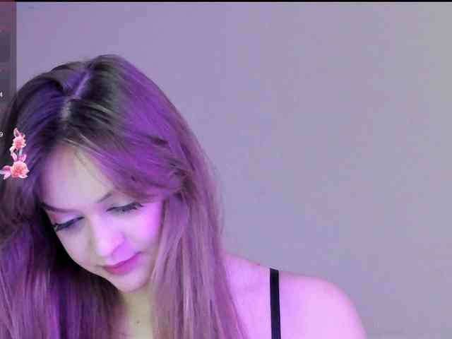may-flower webcam