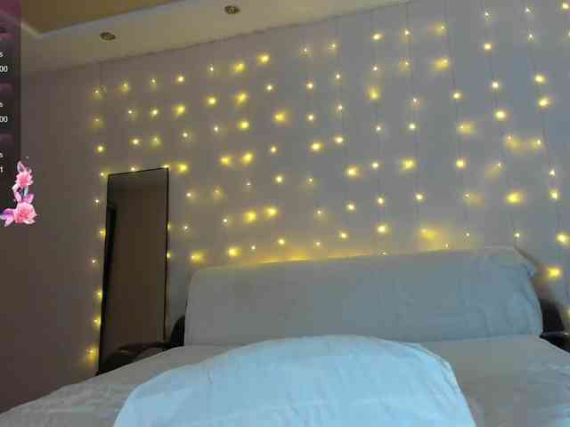 may-flower may-flower