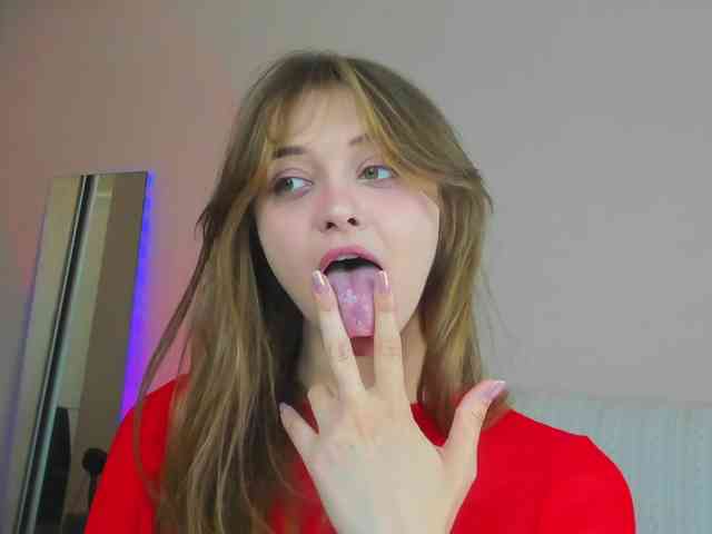 may-flower webcam