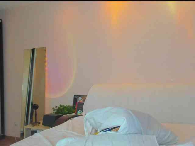 may-flower webcam