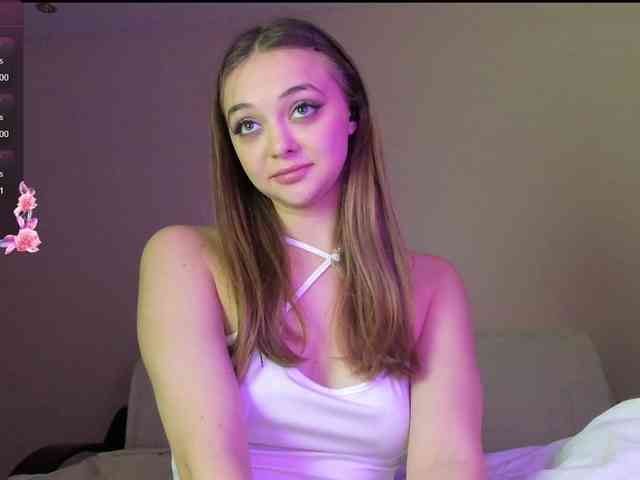 may-flower webcam