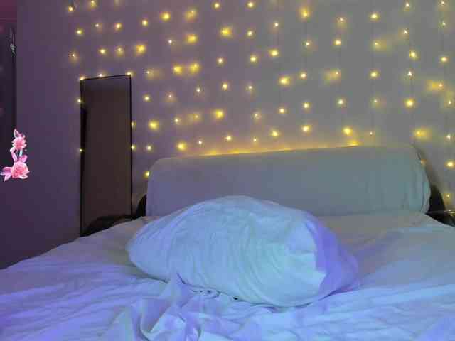 may-flower may-flower