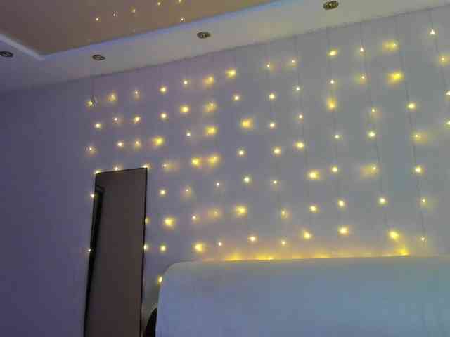 may-flower may-flower