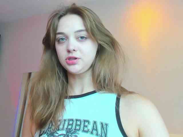 may-flower webcam