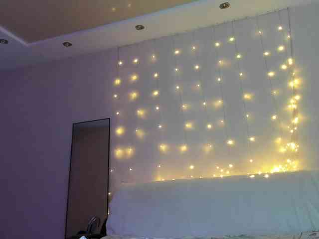 may-flower may-flower