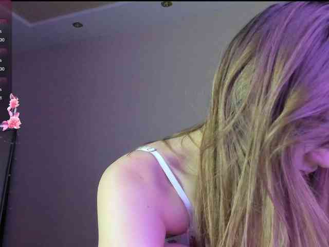 may-flower webcam