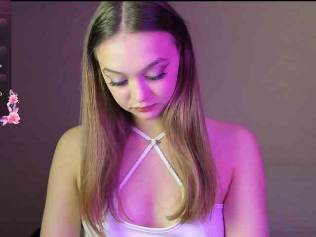 may-flower webcam
