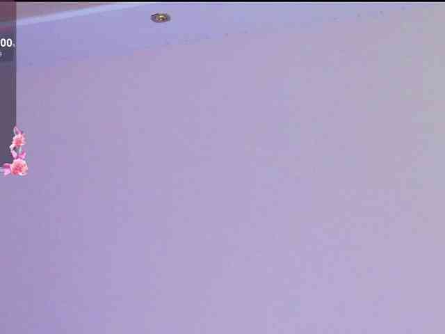 may-flower webcam