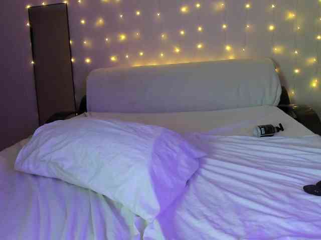 may-flower may-flower