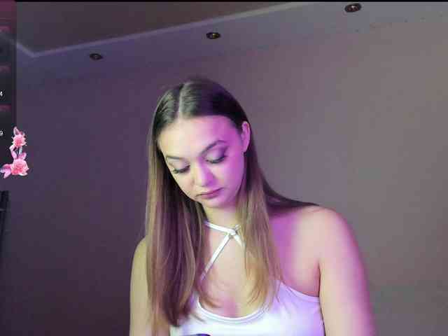 may-flower webcam