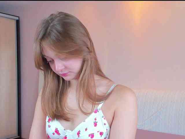 may-flower webcam