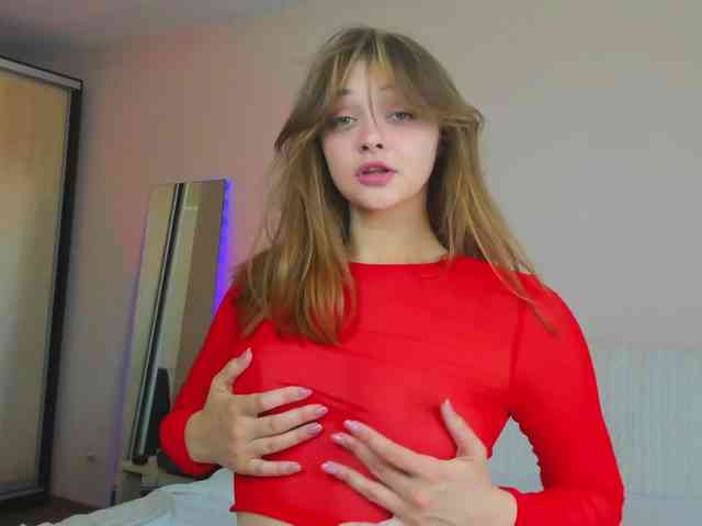 may-flower webcam