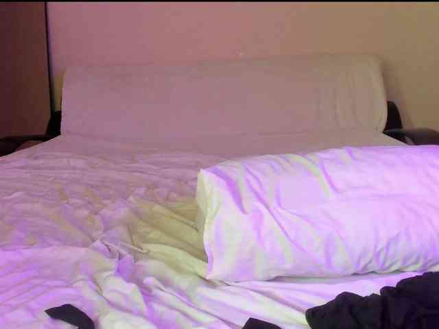 may-flower may-flower