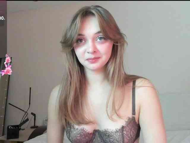 may-flower webcam