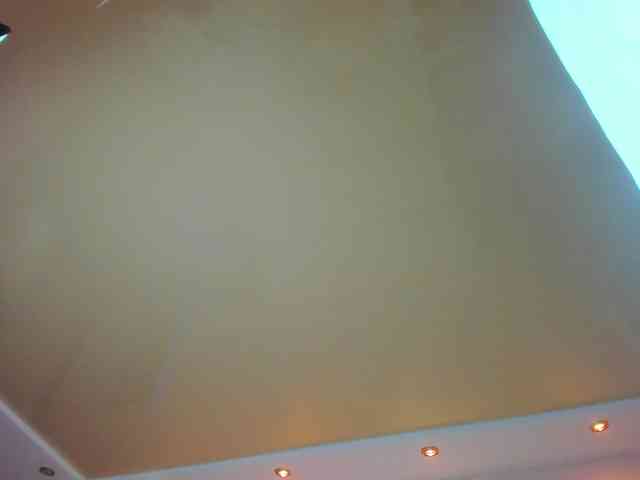 may-flower webcam
