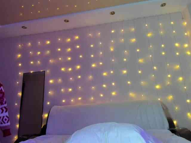 may-flower may-flower