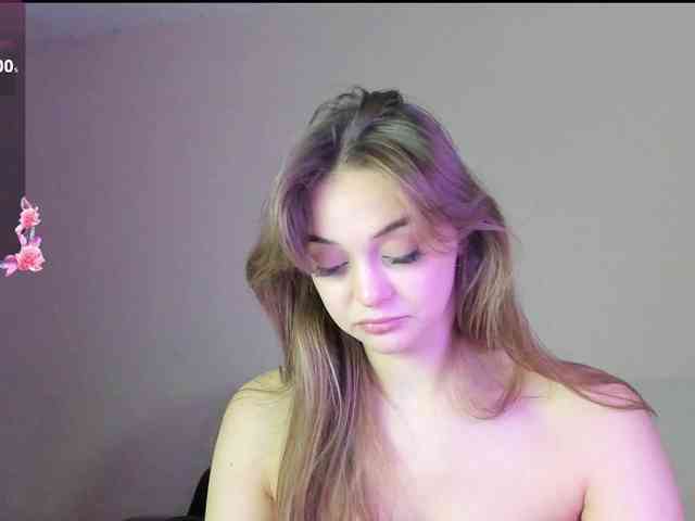 may-flower webcam