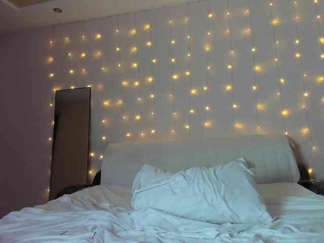 may-flower may-flower