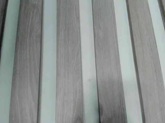 wandalover webcam