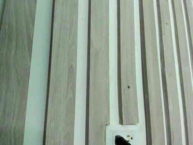 wandalover wandalover