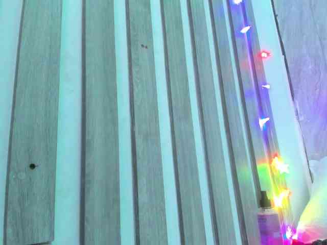 wandalover wandalover