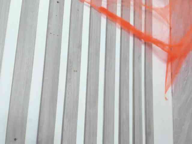 wandalover