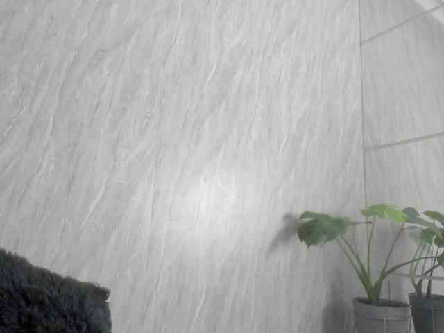 wandalover wandalover