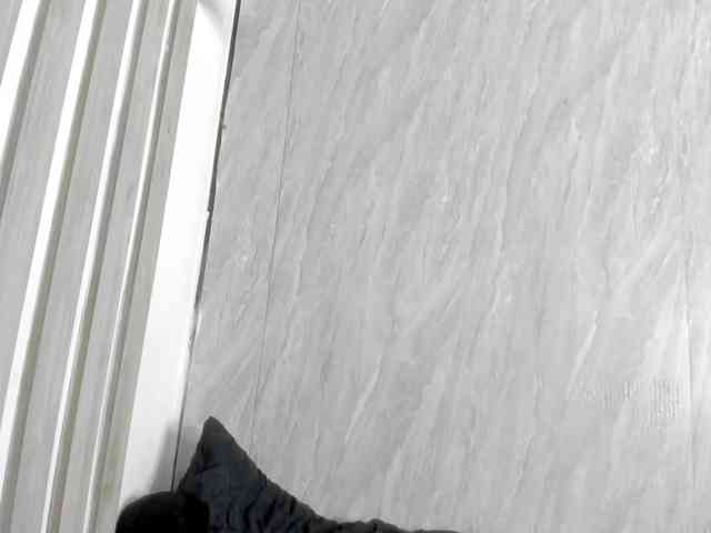 wandalover wandalover