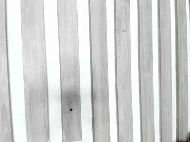 wandalover webcam