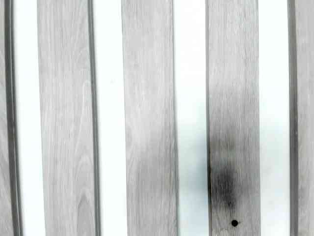 wandalover webcam