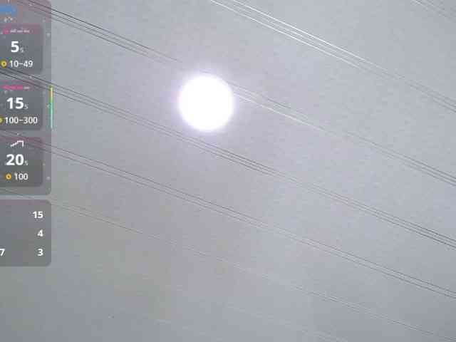 cristal-horny19 webcam