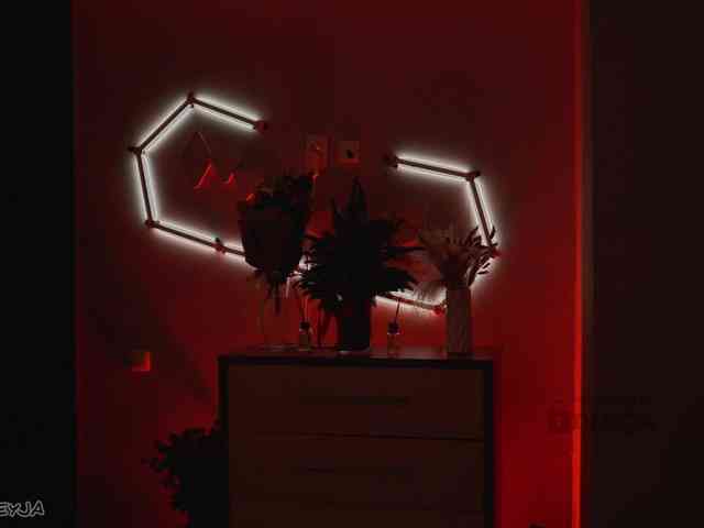 ManiFreyja ManiFreyja