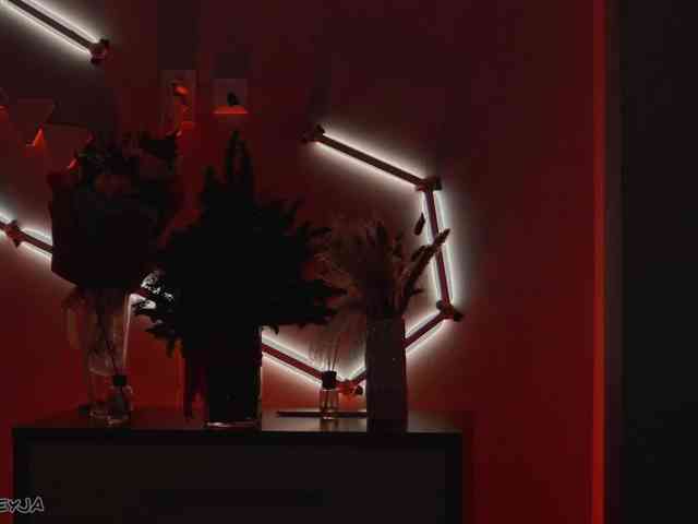 ManiFreyja ManiFreyja