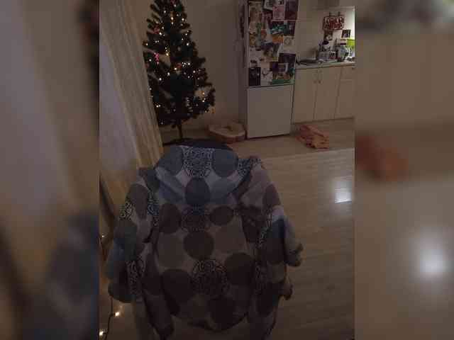 VanillaExplode webcam