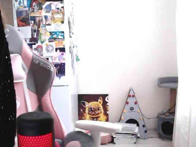 VanillaExplode webcam