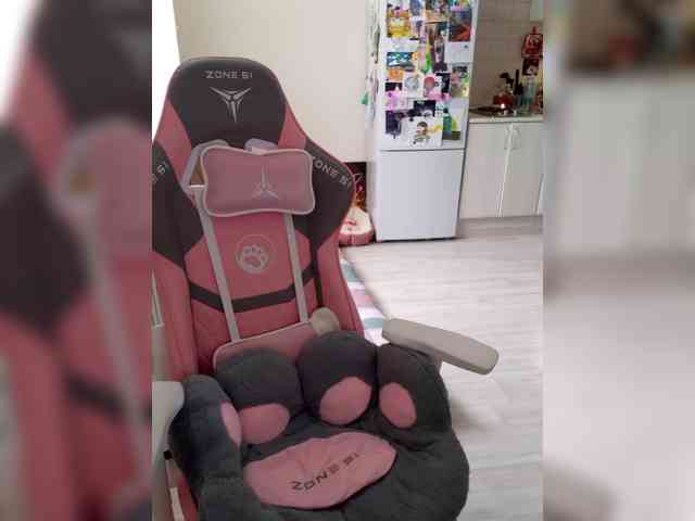 VanillaExplode webcam