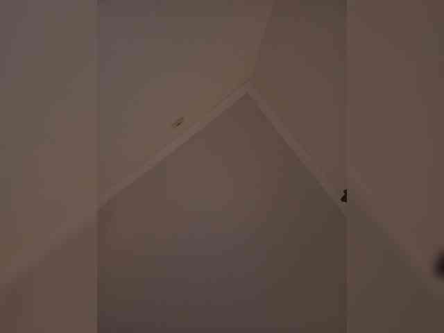 VanillaExplode webcam