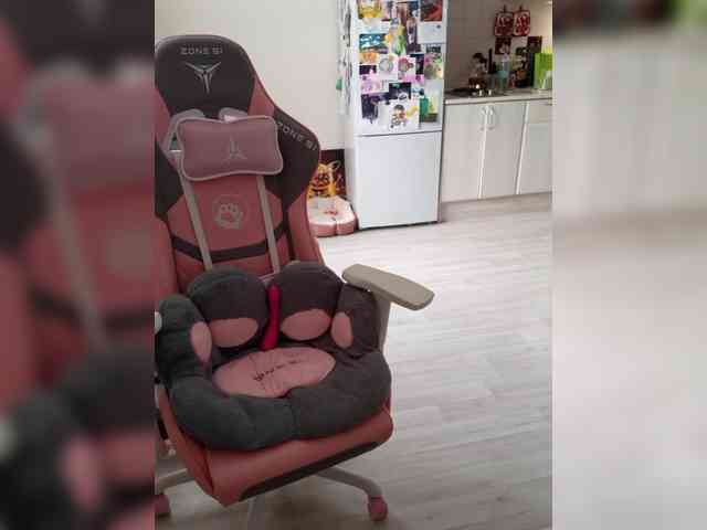 VanillaExplode webcam