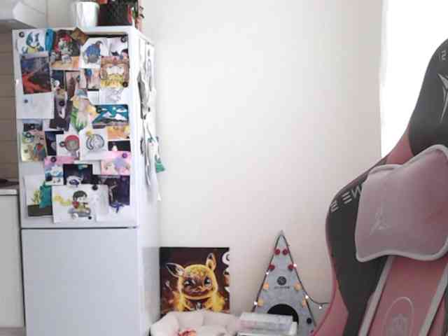 VanillaExplode webcam