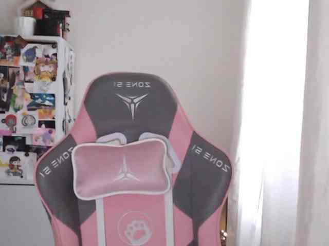 VanillaExplode webcam