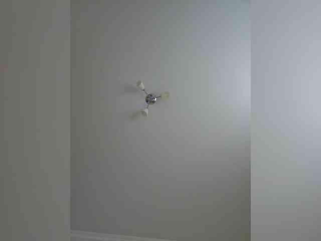 VanillaExplode webcam