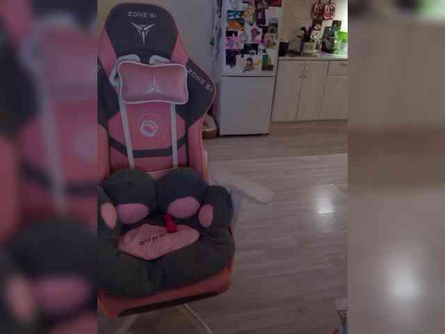 VanillaExplode webcam