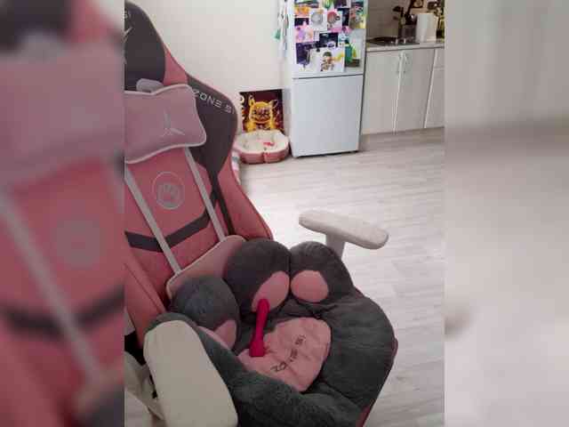 VanillaExplode webcam