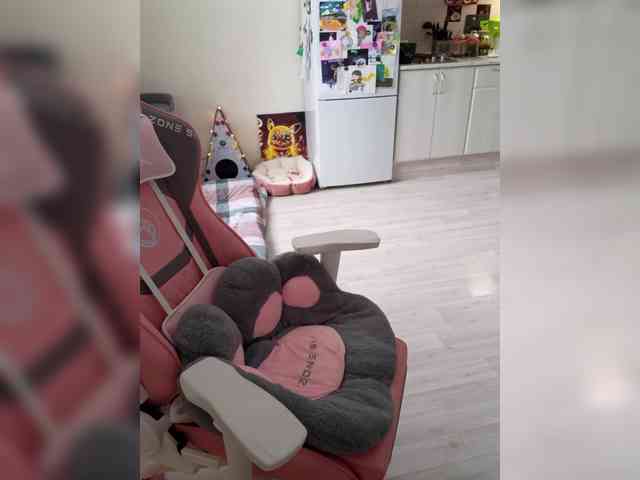 VanillaExplode webcam