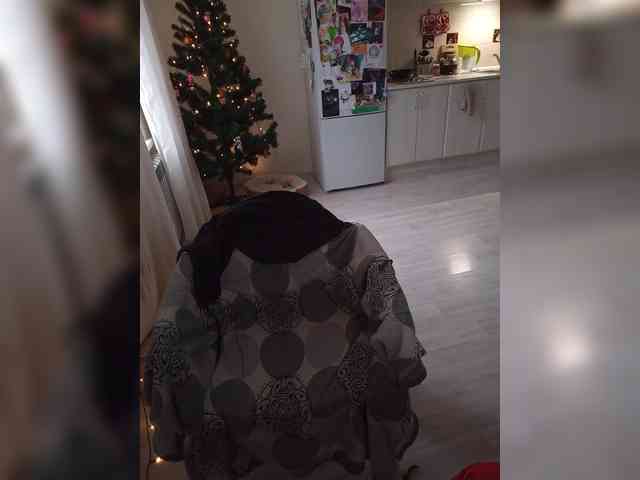 VanillaExplode webcam