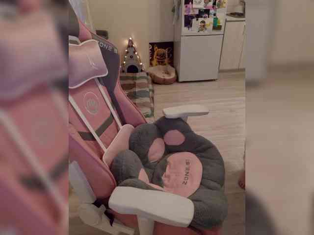 VanillaExplode webcam